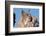 Canadian Lynx with Young-W^ Perry Conway-Framed Photographic Print