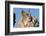 Canadian Lynx with Young-W^ Perry Conway-Framed Photographic Print