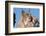 Canadian Lynx with Young-W^ Perry Conway-Framed Photographic Print