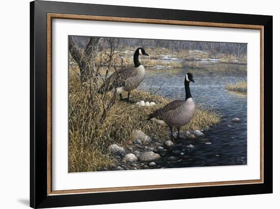 Canadian Pair-Jeff Tift-Framed Giclee Print