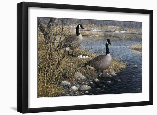 Canadian Pair-Jeff Tift-Framed Giclee Print