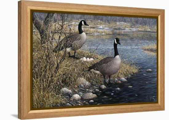 Canadian Pair-Jeff Tift-Framed Premier Image Canvas