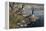 Canadian Pair-Jeff Tift-Framed Premier Image Canvas