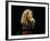 Canadian Pop Music Star Celine Dion Singing Into Microphone During "Hirshfeld Drawing" Function-Dave Allocca-Framed Premium Photographic Print