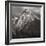 Canadian Rockies-Alan Majchrowicz-Framed Photographic Print