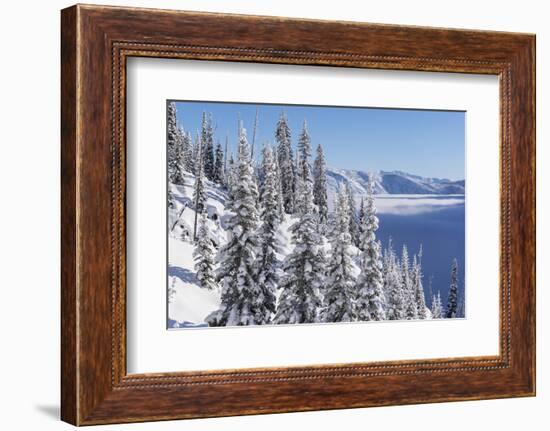 Canadian Rocky Mountains, British Columbia-Udo Bernhart-Framed Photographic Print