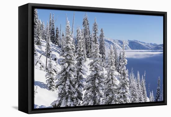 Canadian Rocky Mountains, British Columbia-Udo Bernhart-Framed Premier Image Canvas