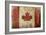 Canadian Rustic Flag-Jace Grey-Framed Art Print