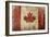 Canadian Rustic Flag-Jace Grey-Framed Art Print