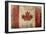 Canadian Rustic Flag-Jace Grey-Framed Art Print