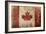 Canadian Rustic Flag-Jace Grey-Framed Art Print