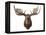 Canadian Taxidermy Moose Head Hunting Trophy, Mounted on an Oak Shield, Vancouver-null-Framed Premier Image Canvas