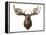 Canadian Taxidermy Moose Head Hunting Trophy, Mounted on an Oak Shield, Vancouver-null-Framed Premier Image Canvas