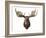 Canadian Taxidermy Moose Head Hunting Trophy, Mounted on an Oak Shield, Vancouver-null-Framed Photographic Print