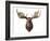 Canadian Taxidermy Moose Head Hunting Trophy, Mounted on an Oak Shield, Vancouver-null-Framed Photographic Print