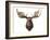 Canadian Taxidermy Moose Head Hunting Trophy, Mounted on an Oak Shield, Vancouver-null-Framed Photographic Print