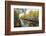 Canal, Amsterdam, Holland, Netherlands-Peter Adams-Framed Photographic Print