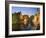 Canal and Belfry Tower in the Evening, Bruges, Belgium, Europe-Martin Child-Framed Photographic Print