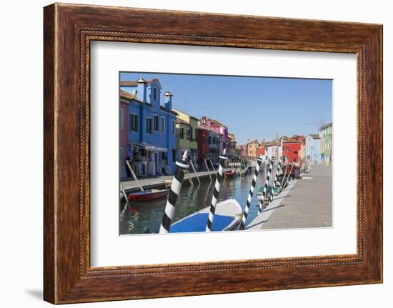 Canal and colourful facades, Burano, Veneto, Italy, Europe-Frank Fell-Framed Photographic Print