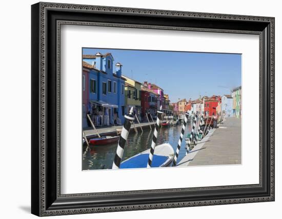 Canal and colourful facades, Burano, Veneto, Italy, Europe-Frank Fell-Framed Photographic Print