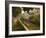 Canal and Houses, Souzhou (Suzhou), China-Jochen Schlenker-Framed Photographic Print