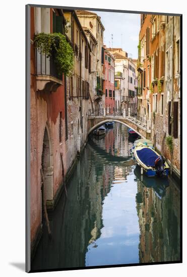 Canal and houses, Venice, Veneto, Italy-Russ Bishop-Mounted Photographic Print