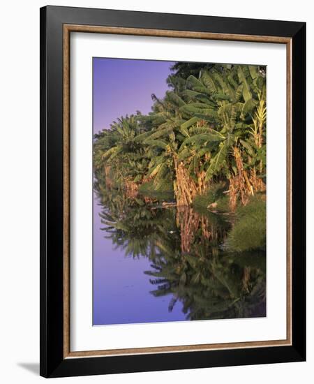 Canal de Marapendi, Rio de Janeiro, Brazil-null-Framed Photographic Print