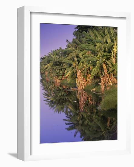 Canal de Marapendi, Rio de Janeiro, Brazil-null-Framed Photographic Print