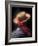 Canal Grande towards Santa Gondolier, Venice, Italy-Walter Bibikow-Framed Photographic Print