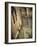 Canal in the Castello District, Venice, Italy-Jon Arnold-Framed Photographic Print