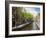 Canal in the Red Light District, Amsterdam, Netherlands, Europe-Amanda Hall-Framed Photographic Print