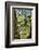 Canal Side Flowering Tree-George Oze-Framed Photographic Print