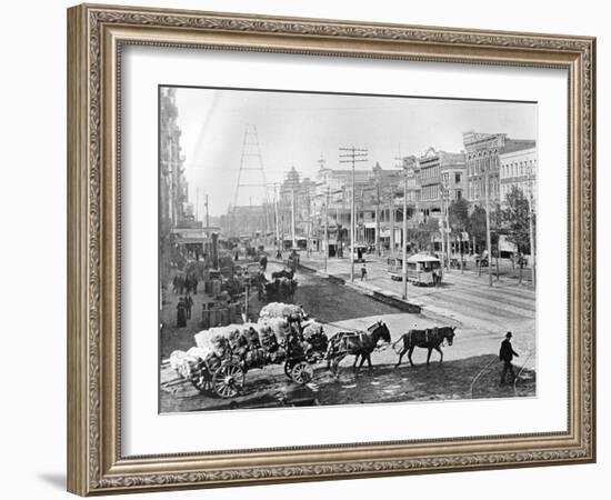 Canal Street, New Orleans, Louisiana, C.1890 (B/W Photo)-American Photographer-Framed Giclee Print