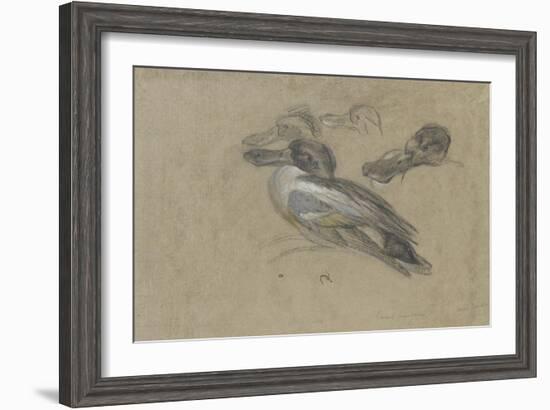 Canard et trois têtes de canard-Pieter Boel-Framed Giclee Print