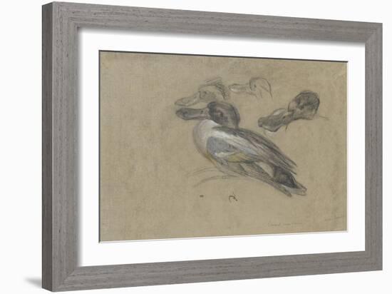 Canard et trois têtes de canard-Pieter Boel-Framed Giclee Print