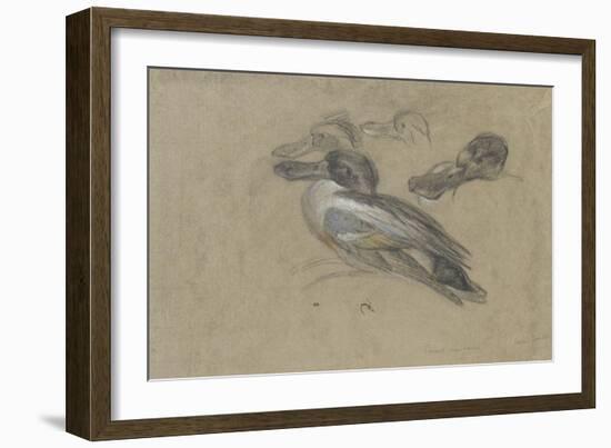 Canard et trois têtes de canard-Pieter Boel-Framed Giclee Print