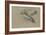 Canard et trois têtes de canard-Pieter Boel-Framed Giclee Print