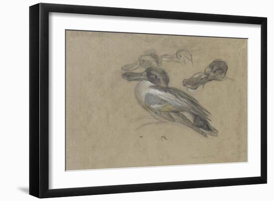 Canard et trois têtes de canard-Pieter Boel-Framed Giclee Print