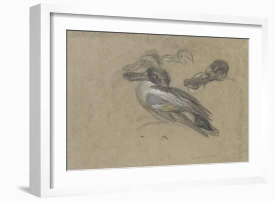 Canard et trois têtes de canard-Pieter Boel-Framed Giclee Print