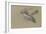 Canard et trois têtes de canard-Pieter Boel-Framed Giclee Print