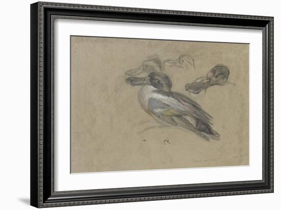 Canard et trois têtes de canard-Pieter Boel-Framed Giclee Print