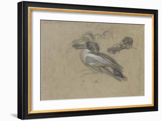 Canard et trois têtes de canard-Pieter Boel-Framed Giclee Print