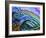 Canaria-Martin Nasim-Framed Giclee Print