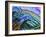 Canaria-Martin Nasim-Framed Giclee Print