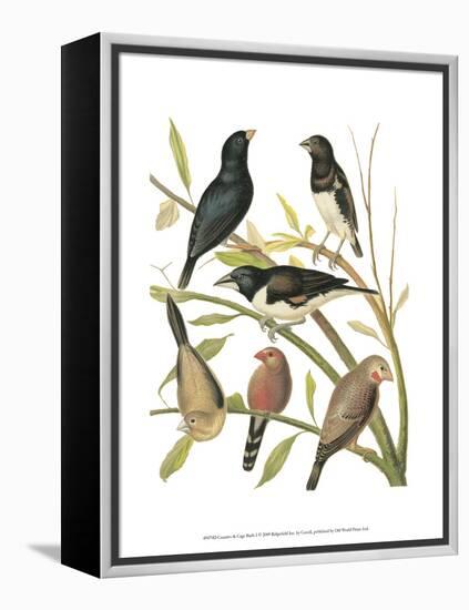 Canaries and Cage Birds I-Cassel-Framed Stretched Canvas