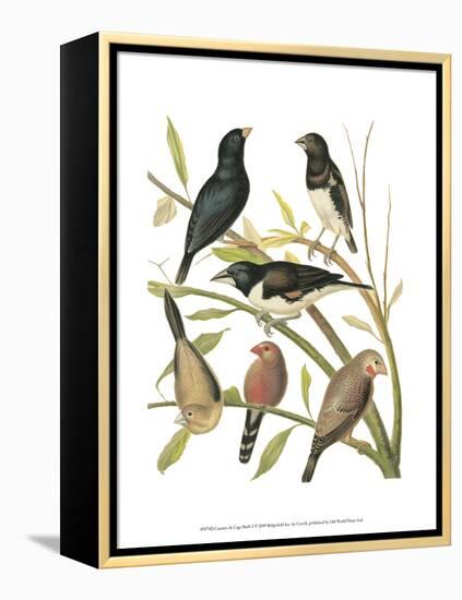 Canaries and Cage Birds I-Cassel-Framed Stretched Canvas