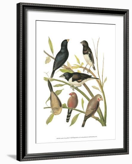 Canaries and Cage Birds I-Cassel-Framed Art Print