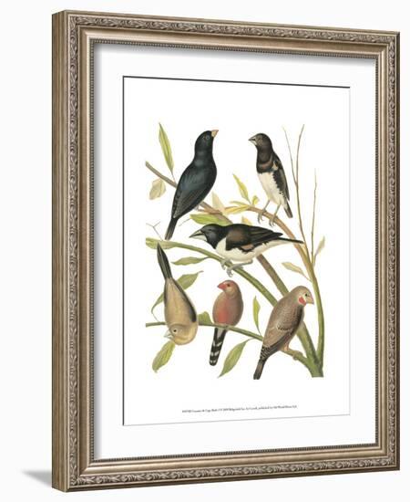 Canaries and Cage Birds I-Cassel-Framed Art Print