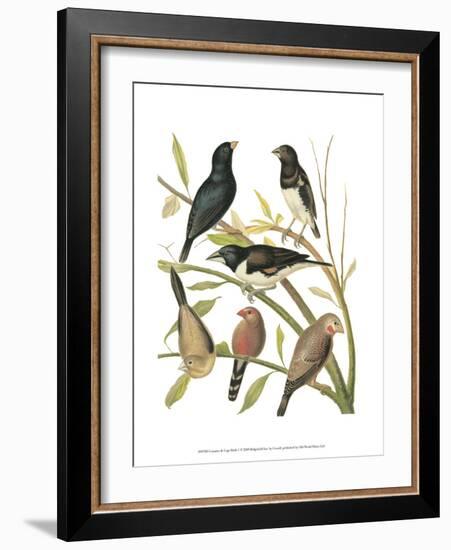 Canaries and Cage Birds I-Cassel-Framed Art Print