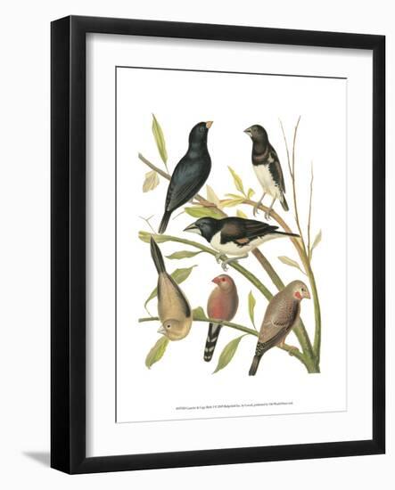 Canaries and Cage Birds I-Cassel-Framed Art Print